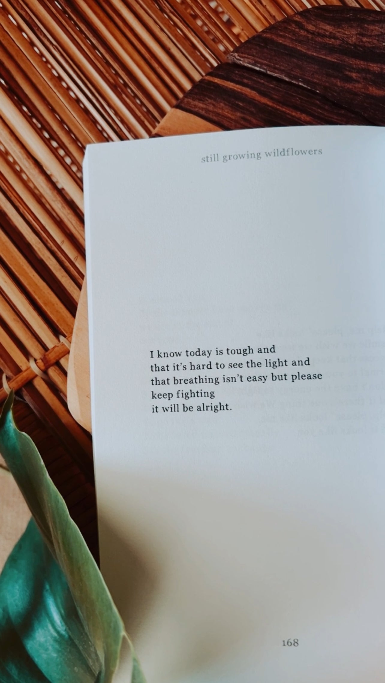 Still Growing Wildflowers ♥ Healing Poetry about Childhood Trauma