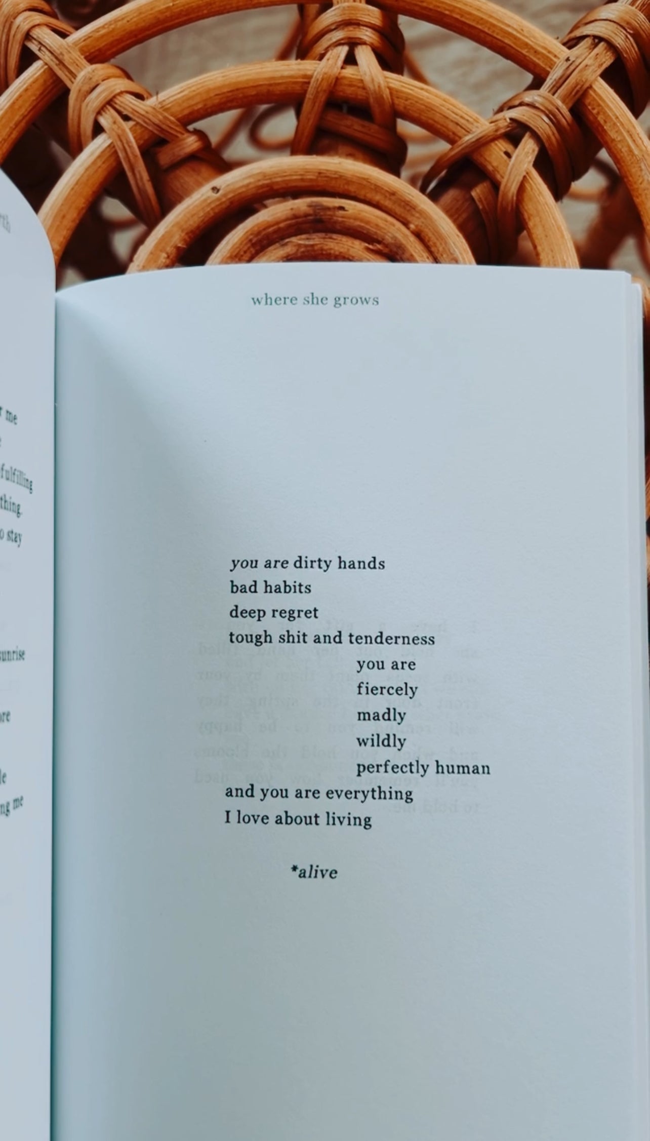 Made of Earth ♥ Breaking Cycles & Healing Poetry