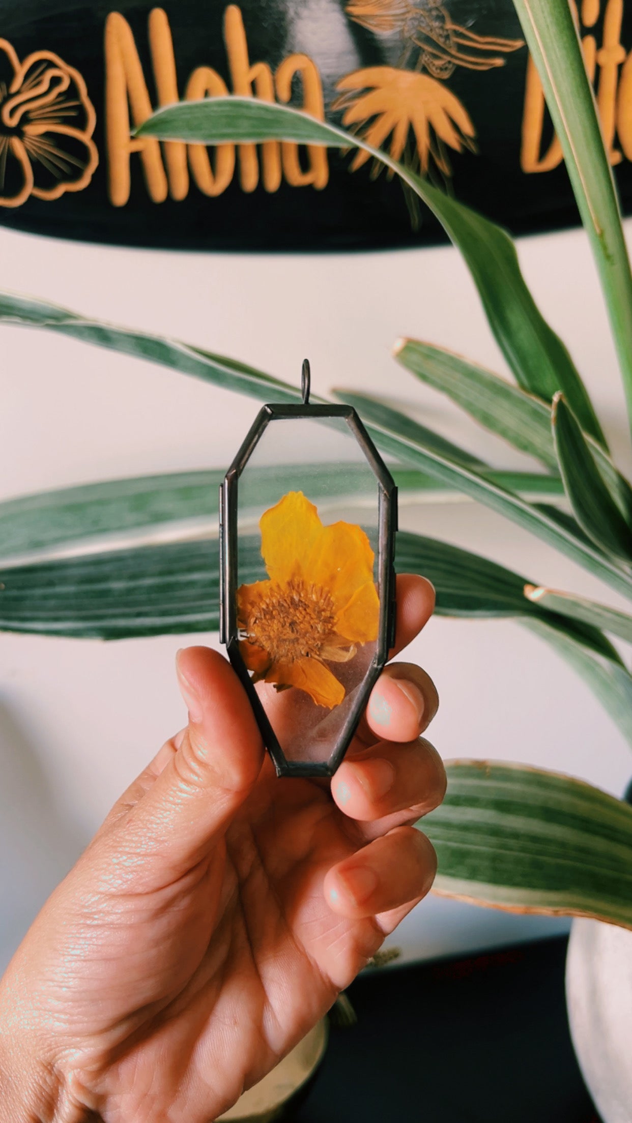 Growing Flowers from These Skeletons
✨ self love talisman