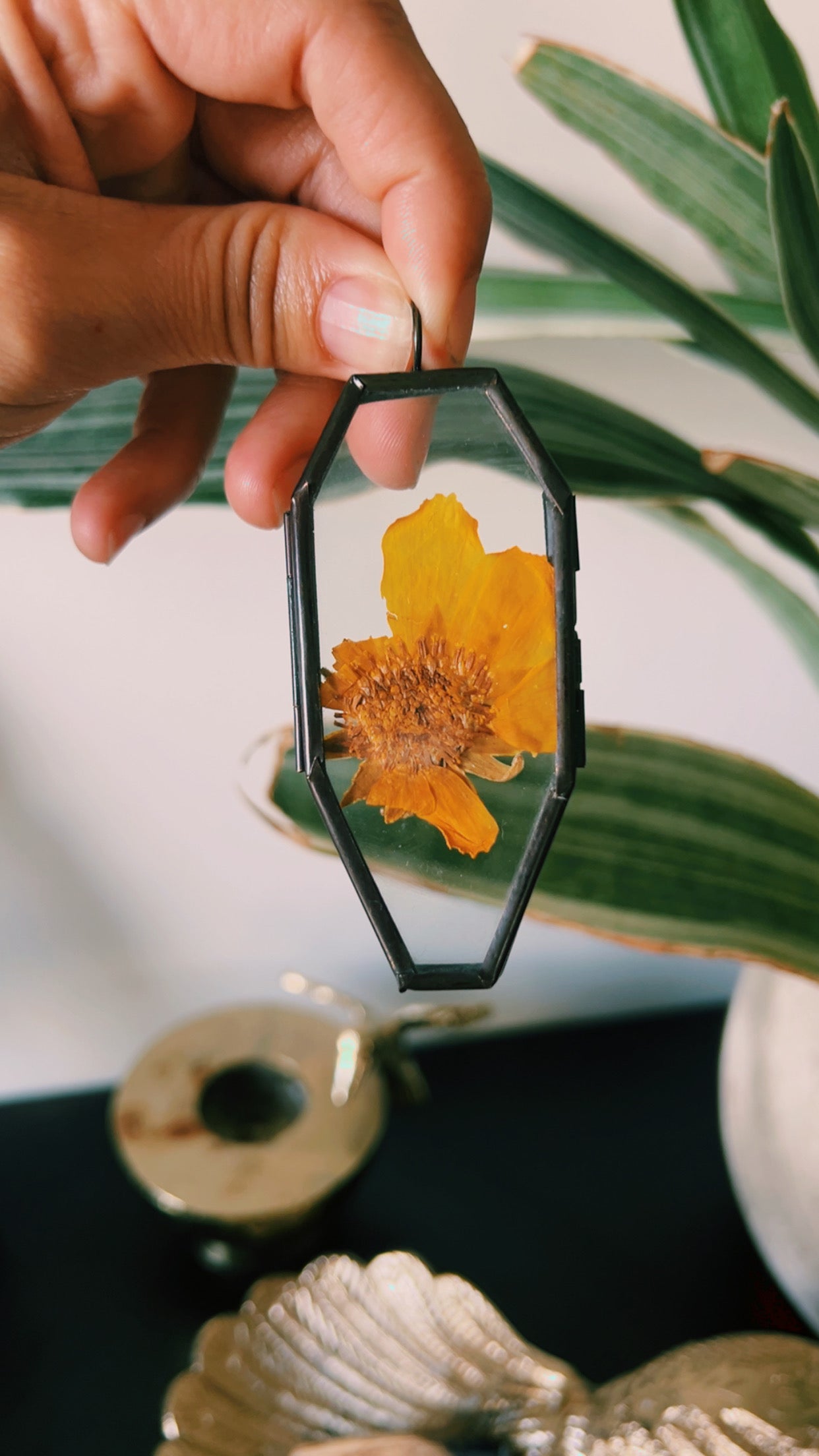 Growing Flowers from These Skeletons
✨ self love talisman