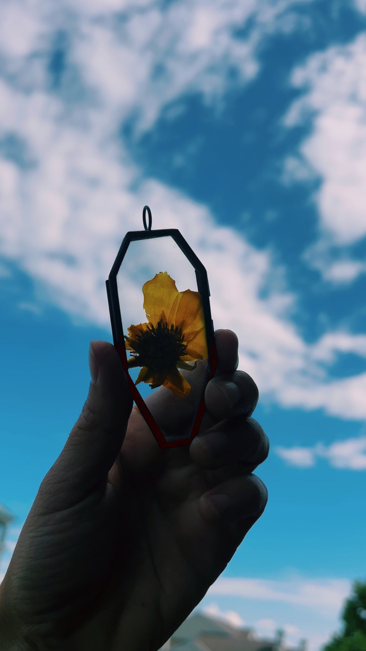 Growing Flowers from These Skeletons
✨ self love talisman