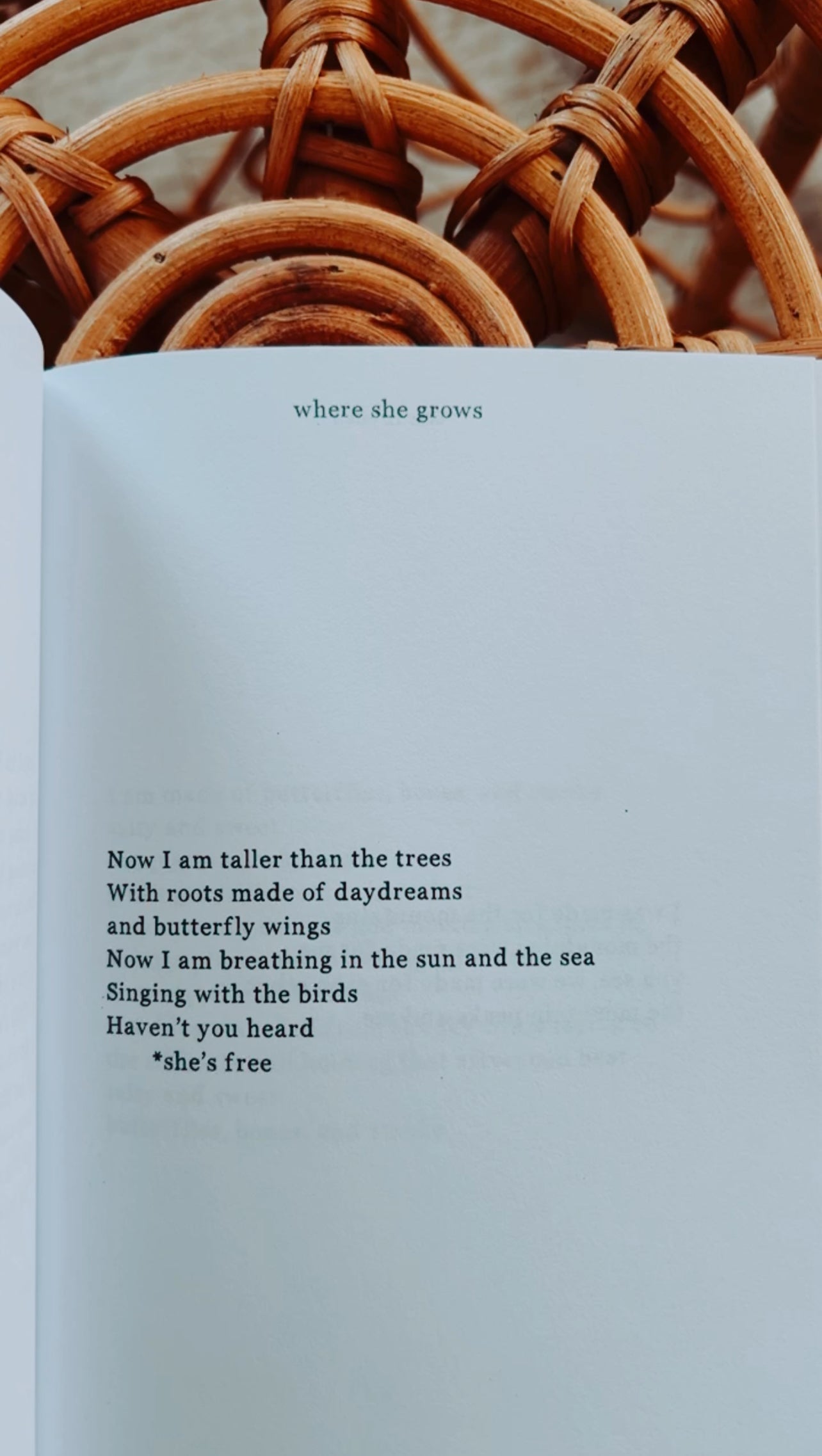 The Lovers ♥ Heartbreak & Self Love Poetry