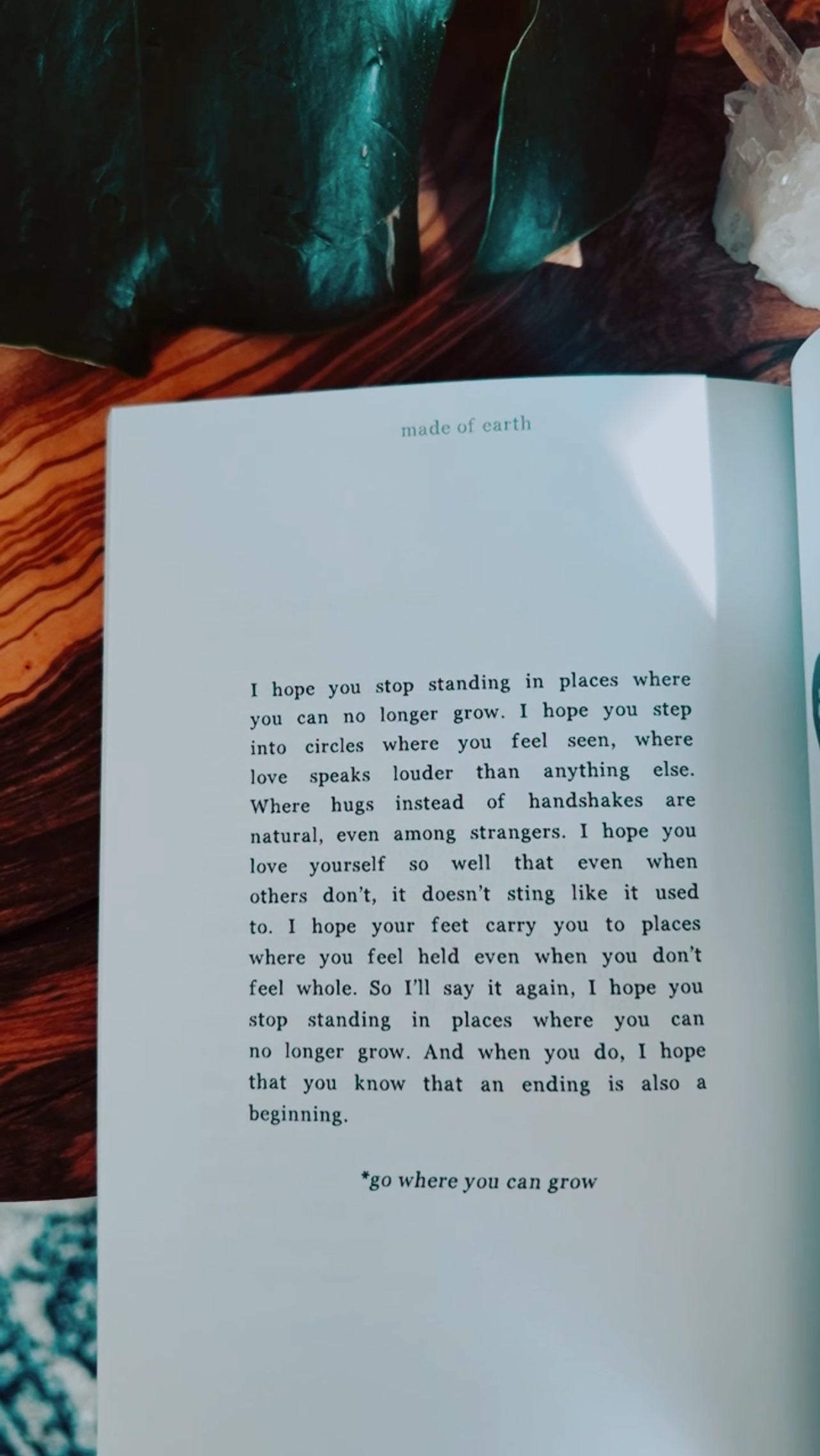 Made of Earth ♥ Breaking Cycles & Healing Poetry