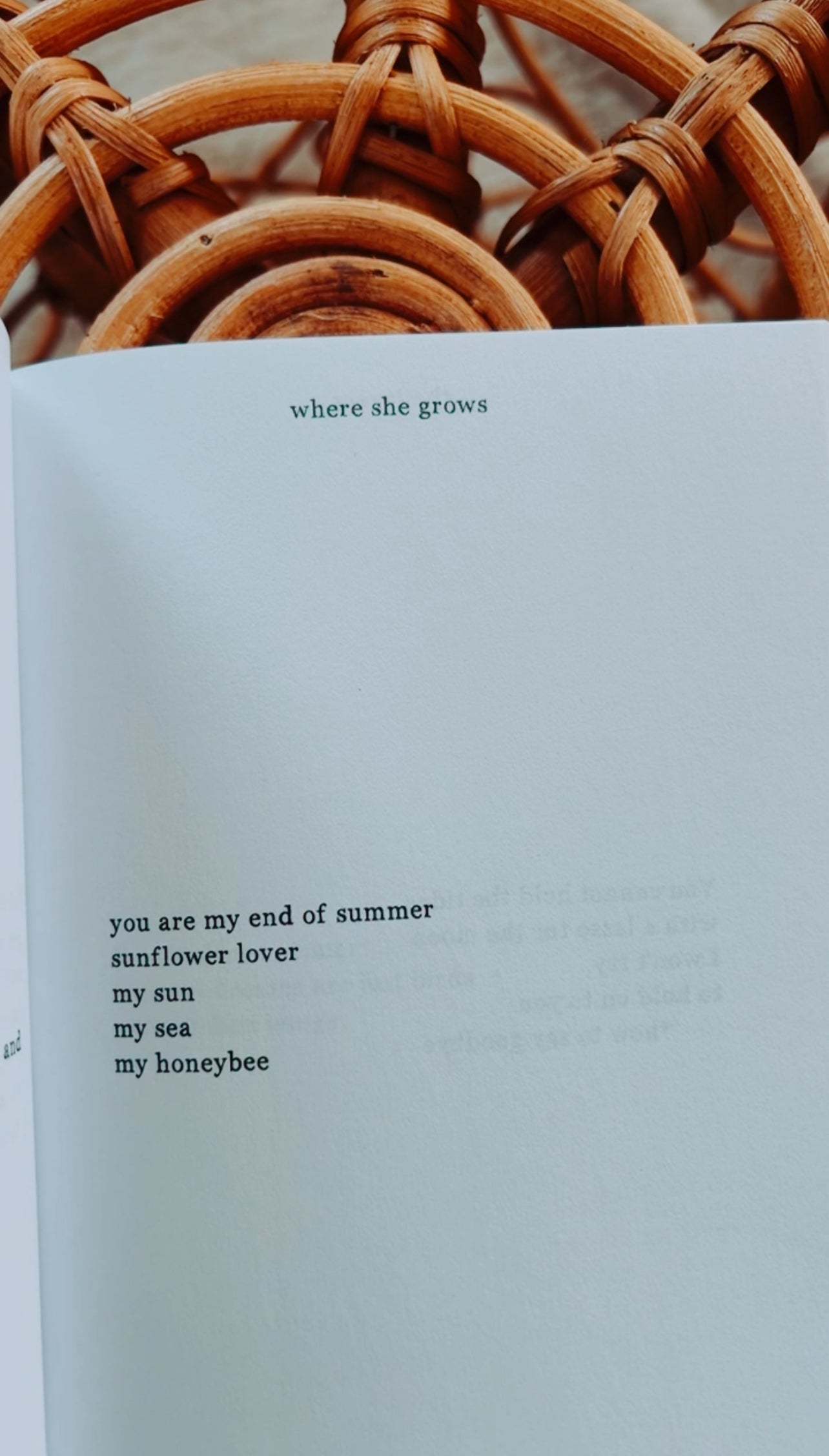 The Lovers ♥ Heartbreak & Self Love Poetry