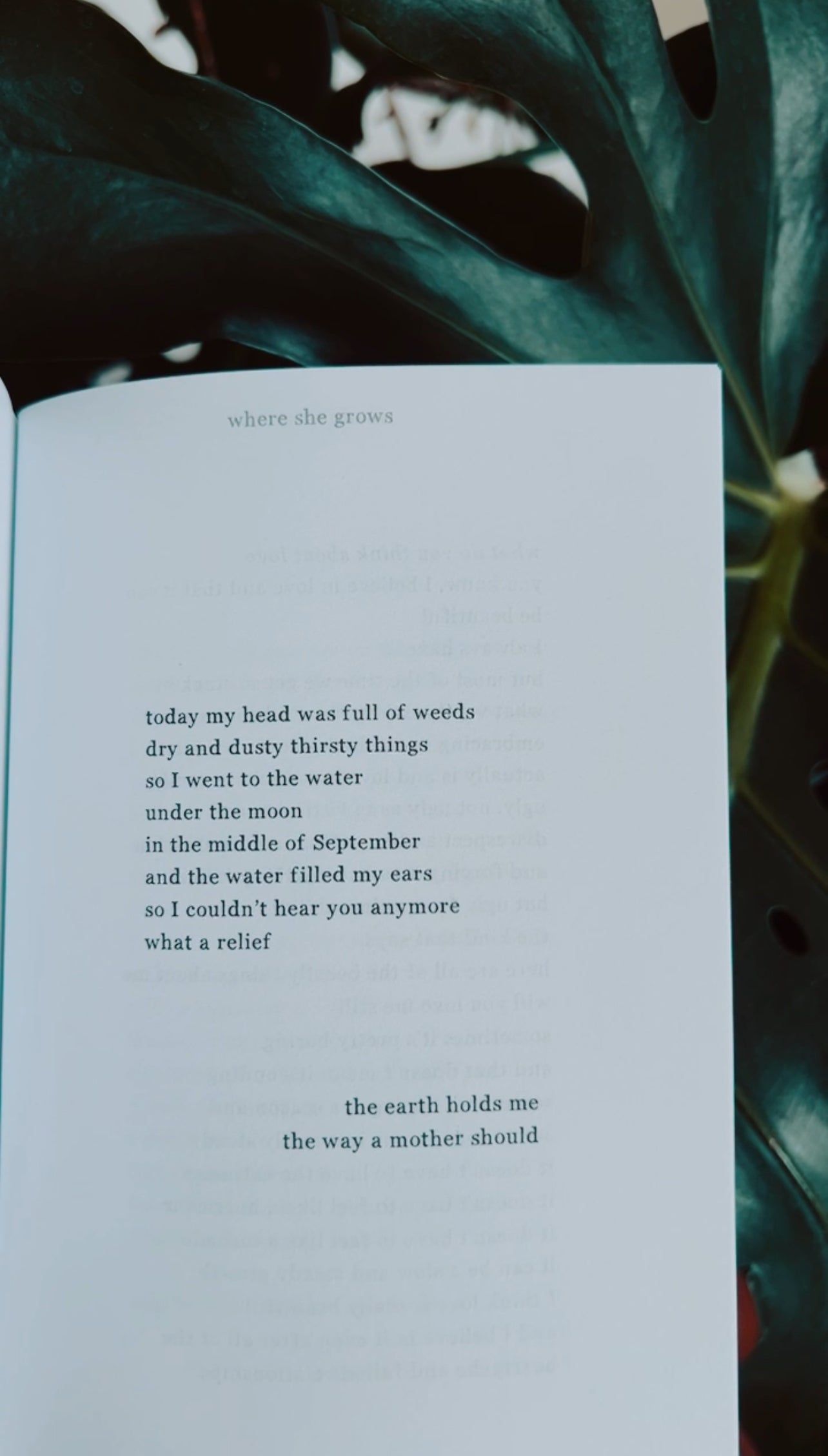 Made of Earth ♥ Breaking Cycles & Healing Poetry